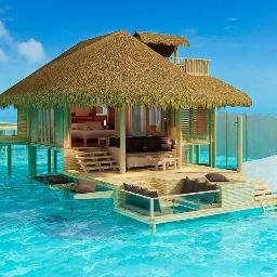 Torontoblogger7's profile picture. 