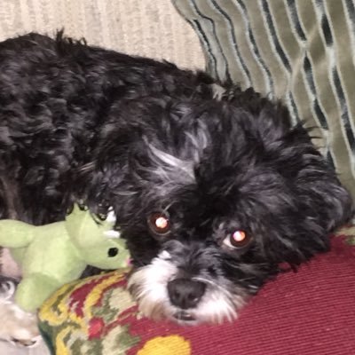 NancyHainge's profile picture. 