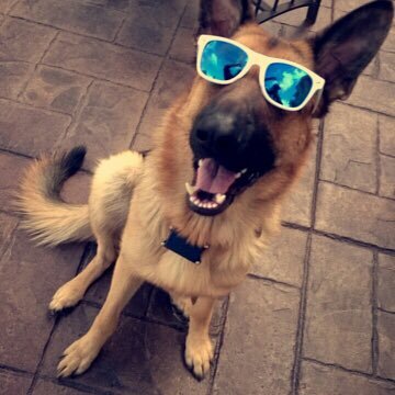 BachandCorey's profile picture. 