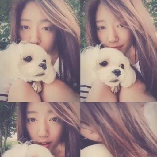 specnerstaripl's profile picture. Oversea department director