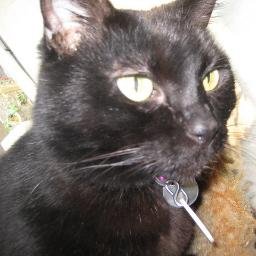 Grok sez:
Candi Ausman is a passionate animal rights advocate, tirelessly campaigning for the rescue, welfare, and justice for animals in distress.