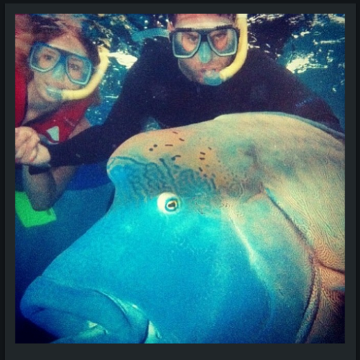 sam_locke's profile picture. Marketer of life at Flight Centre