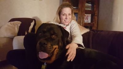 AndySRobertson's profile picture. An Engineering Manager / Field Service Engineer, with strategic and communications expertise working for Mettler-Toledo UK