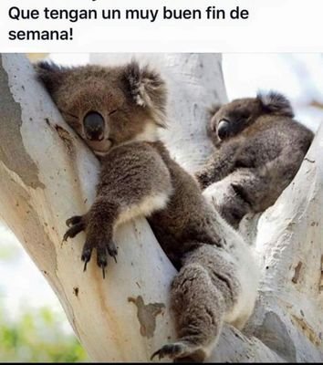 morenosalazare's profile picture. Part-time long distance ocean swimmer for fun/charity. Nadadora distancias largas.