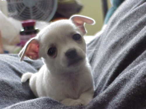 NotmyNa39164705's profile picture. 