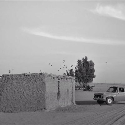 shammari_nawaf's profile picture. 