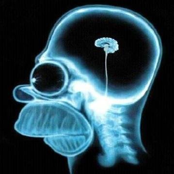 Humanism. Evolution. A-theist.
Retweets not always reflect my opinion