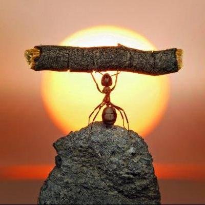 PushpaKolasani's profile picture. That is Me who is trying to gain knowledge by following U all here.. Thanks for working this much hard to do some thing good always for us who are nothing for U