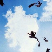 Nick Digilio (@nick_digilio) 's Twitter Profile