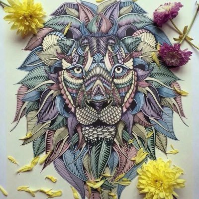 Codedefilles52's profile picture. 