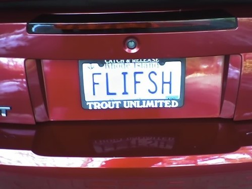 team7xflyfish's profile picture. Fly fishing, horse racing, the SF 49ers and UCONN basketball!