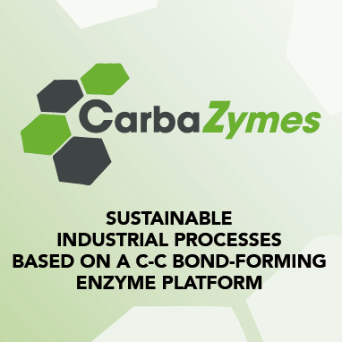 CARBAZYMES project