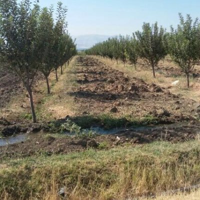 ByaziSaid's profile picture. 