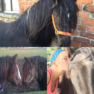 Biomechanics, Equipilates™, Flexibility, Movement and Fitness specifically for Equestrians