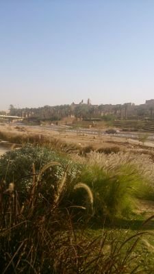 ggDiZYGfBv6HGOs's profile picture. 