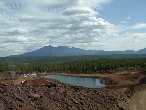 ddevere's profile picture. 