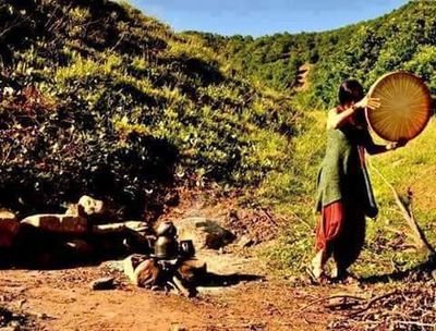 DERSIMHeval1's profile picture. 