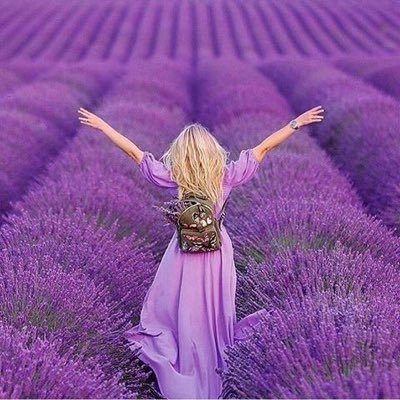 issam67745499's profile picture. 