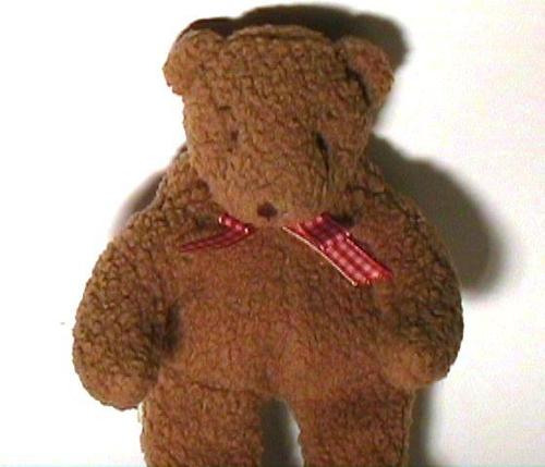 MrStuffedBear's profile picture. I'm a Bear. I live in an apartment. Can you help me escape and see the outside world?
