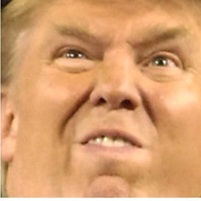 NikoHaigh's profile picture. Dead Meme