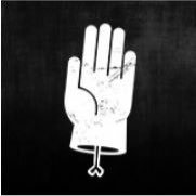 Haltpop's profile picture. Muziekfestival in Zaanstad/ info@haltpop.nl