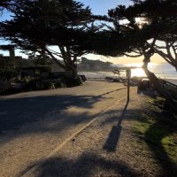 Nick_Zen (@nick_zen) 's Twitter Profile