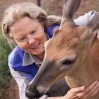 Susan Eirich (@susaneirich) Twitter profile photo