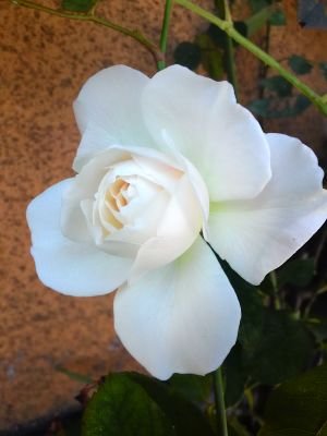 Em5Oyj4ip5sjJ9D's profile picture. 