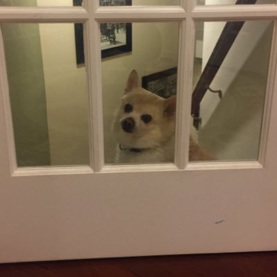 I'm the guard dog, just try and fuck with my pack