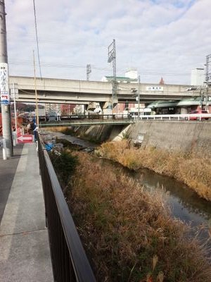 奈良市在住のおやじです。 日常の事や、本や映画や音楽、犬やねこの事についてツイートします。犬も猫も大好きです。