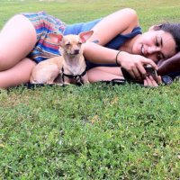 Sophia Le Fraga (@badideasophia) 's Twitter Profile Photo