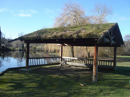 ShorelineBlog's profile picture. A blog all about Shoreline Washington http://t.co/qhJ8BTfoKI