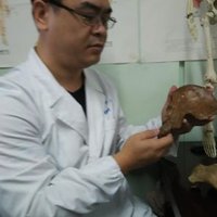 Gideon Chiong (@gideonet) 's Twitter Profile