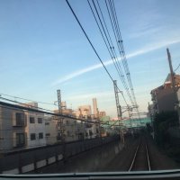 ちぇりまる (@cherimaruko) 's Twitter Profile