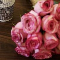 Ɲσσƒυ̵̵'̵ (@mooooon1355) 's Twitter Profile Photo