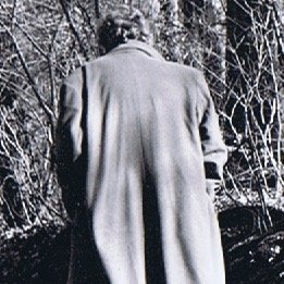 Peter van Straaten Profile