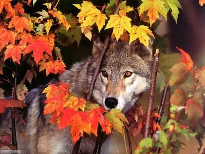 mariangelacian2's profile picture. 