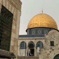 johar abosaad4u (@abosaad4u) 's Twitter Profile