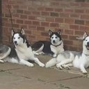 sally florio - @SallyFlorio - Twitter