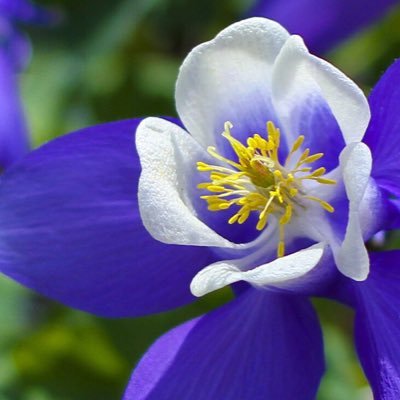 Abosad215289771's profile picture. 