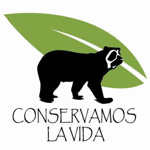 Protegemos al Oso Andino, especie emblemática y muy importante para la vida de los ecosistemas de montaña en Colombia. Somos una alianza público-privada.