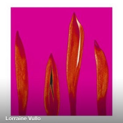 SilenceInBeauty's profile picture. 