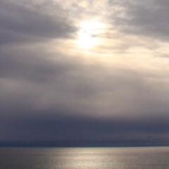 TechArkOrg's profile picture. 