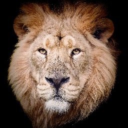 Strengths Focus #meditation is a simple, transformative and personalised practice for everyone. It accelerates #confidence and #success.