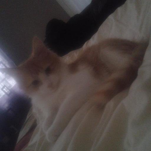 karroubi3's profile picture. 