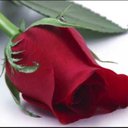333 (@13_3_2013) Twitter