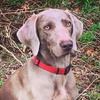 _porterjones's profile picture. 