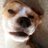 NickTippet's profile image