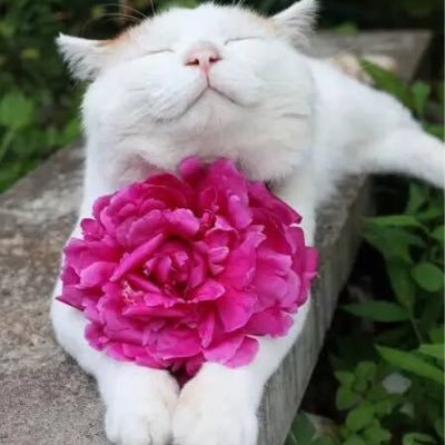 tiscP2RE9Rd1kq6's profile picture. 