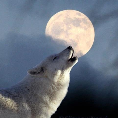 matsovani's profile picture. 